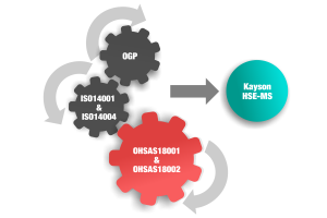 KAYSON HSE Management System